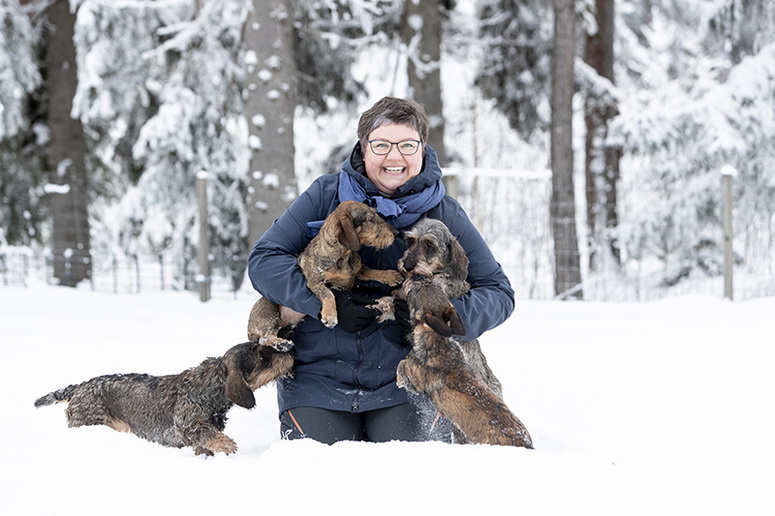 Iloinen nainen ja kolme koiraa lumihangessa.