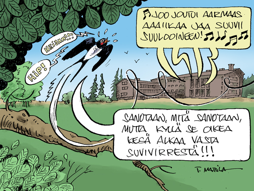 Lintu toteaa, että oikea kesä alkaa Suvivirrestä.
