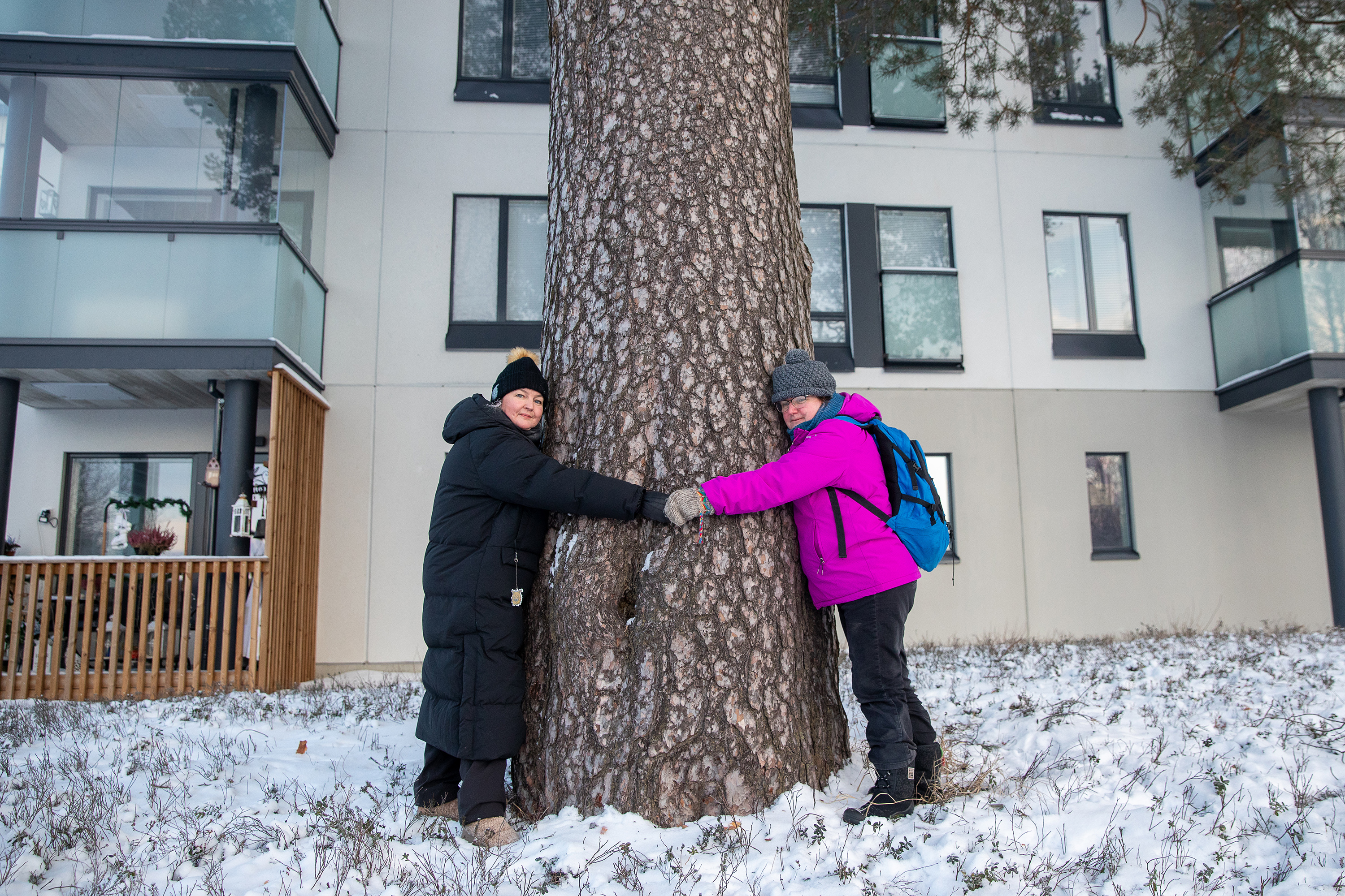Kaksi henkilöä on laittanut kätensä paksun puunrungon ympärille vastakkaisilta puolilta. Kädet yltävät juuri ja juuri yhteen.